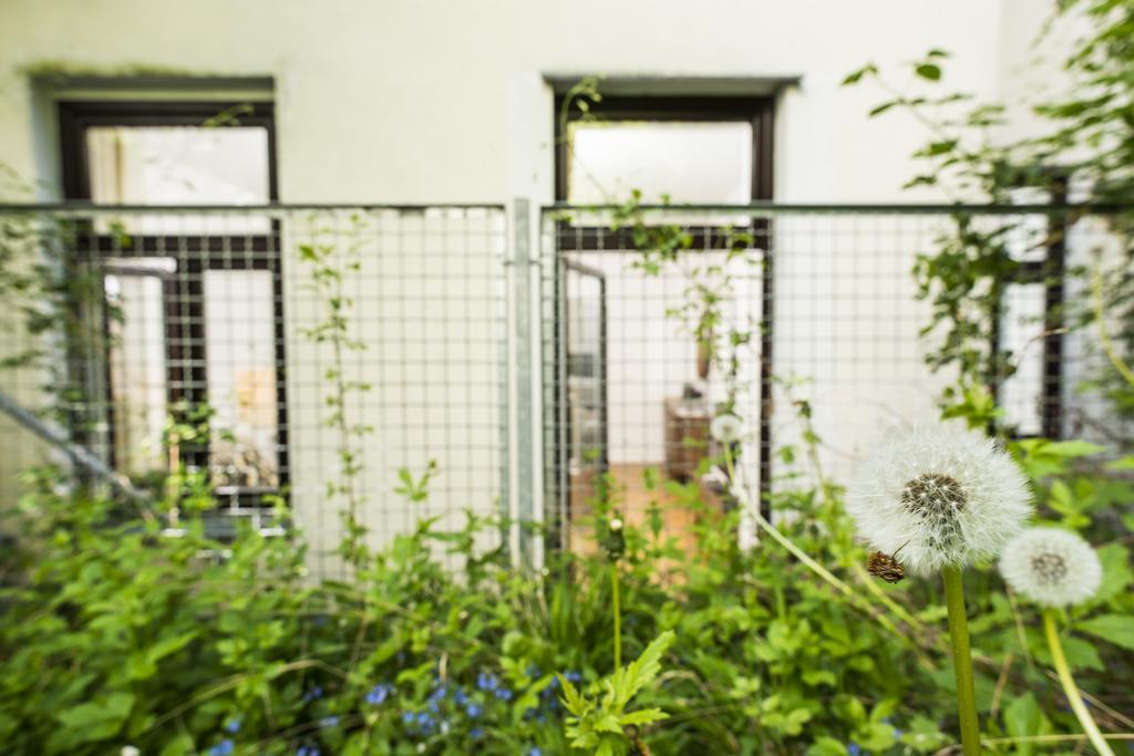 Garden Lounge Satzberg By Ichbucheat * Wien